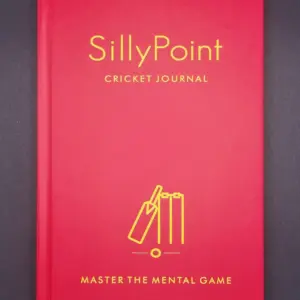 SillyPoint 2.0